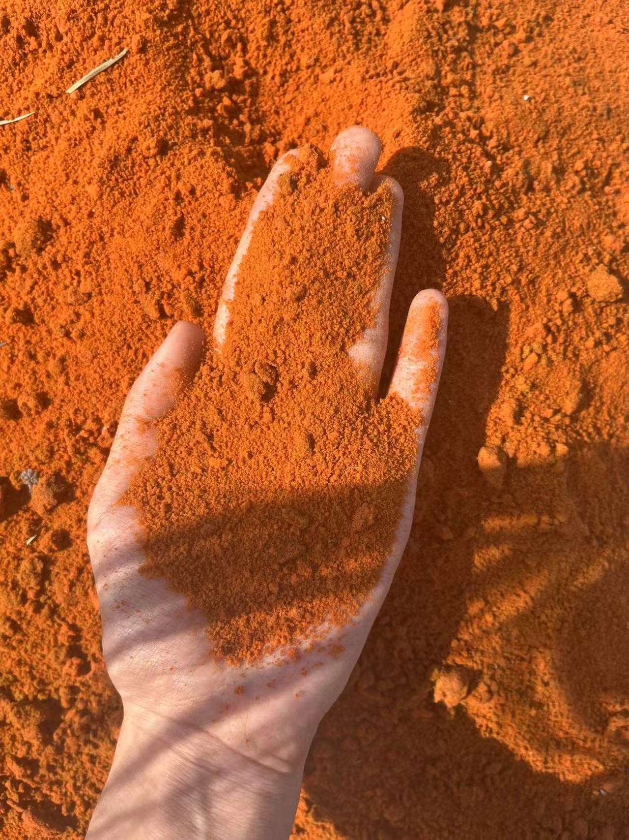 Fine orange powder in palm