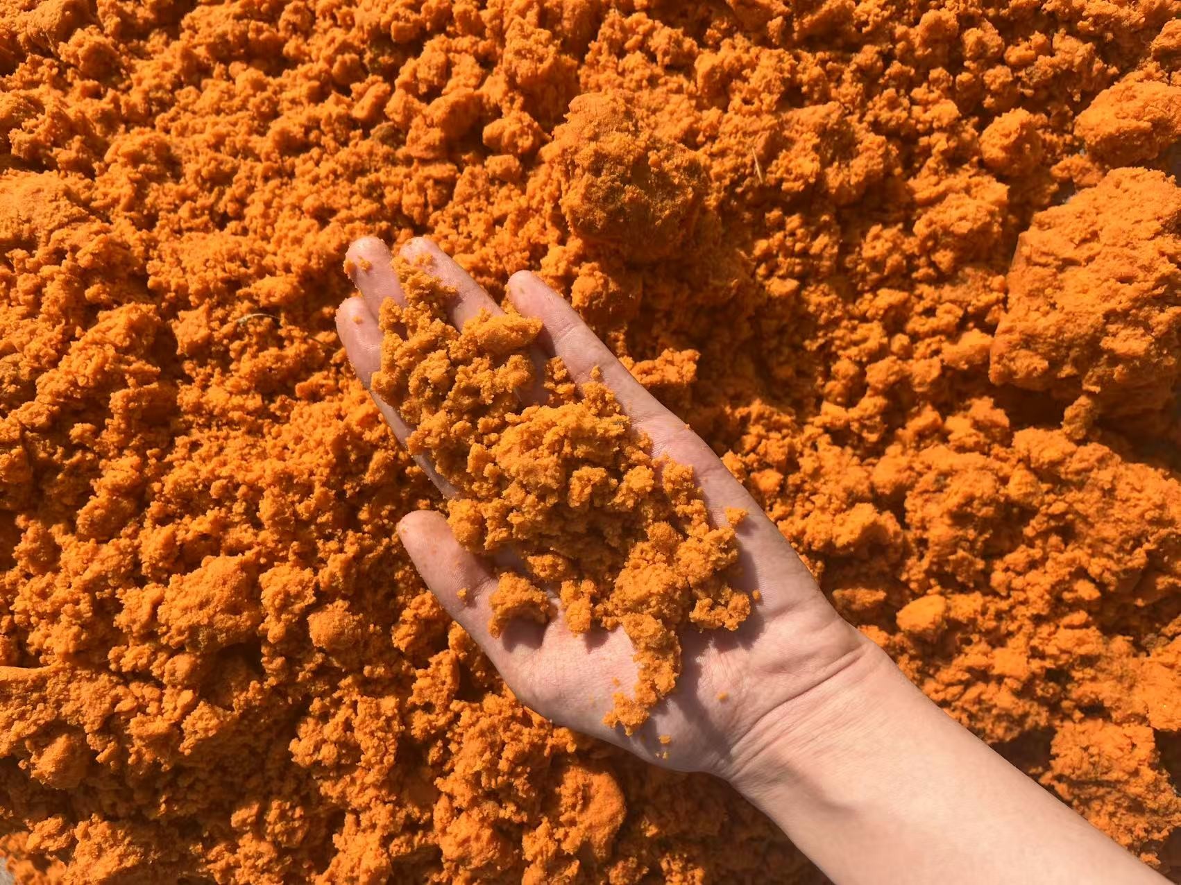Scooping from bulk pile